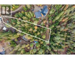 4018 Fumot Place, Bonnington, BC V0G2G3 Photo 18