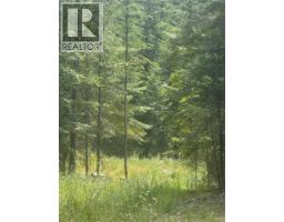 4018 Fumot Place, Bonnington, BC V0G2G3 Photo 8