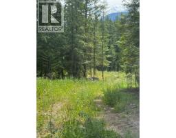 4018 Fumot Place, Bonnington, BC V0G2G3 Photo 17