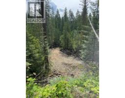 4018 Fumot Place, Bonnington, BC V0G2G3 Photo 13