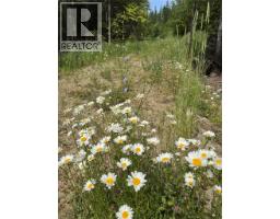 4018 Fumot Place, Bonnington, BC V0G2G3 Photo 12