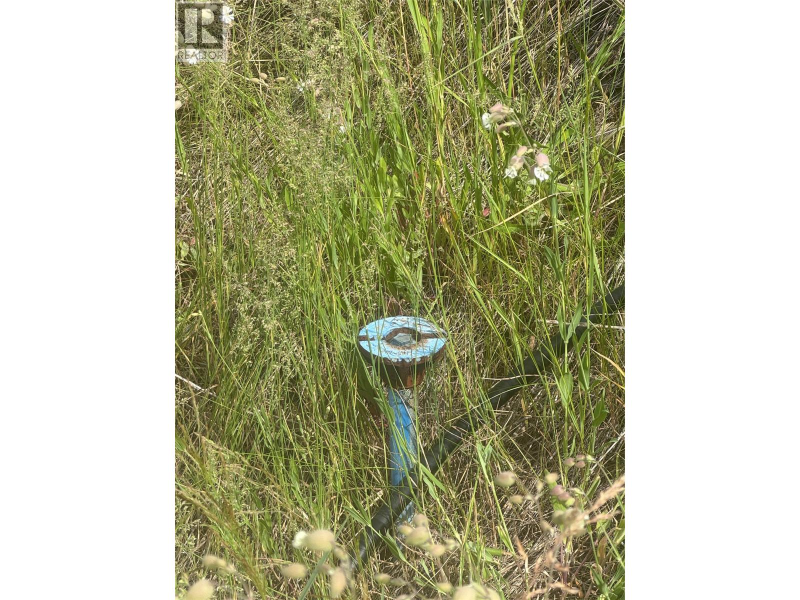 4018 Fumot Place, Bonnington