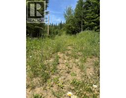4018 Fumot Place, Bonnington, BC V0G2G3 Photo 7