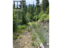 4018 Fumot Place, Bonnington, BC V0G2G3 Photo 15