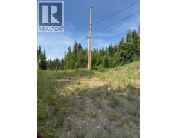 4018 Fumot Place, Bonnington, BC V0G2G3 Photo 16