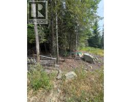 4018 Fumot Place, Bonnington, BC V0G2G3 Photo 10