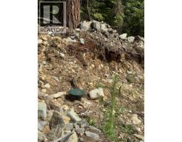 4018 Fumot Place, Bonnington, BC V0G2G3 Photo 11