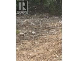 4018 Fumot Place, Bonnington, BC V0G2G3 Photo 6