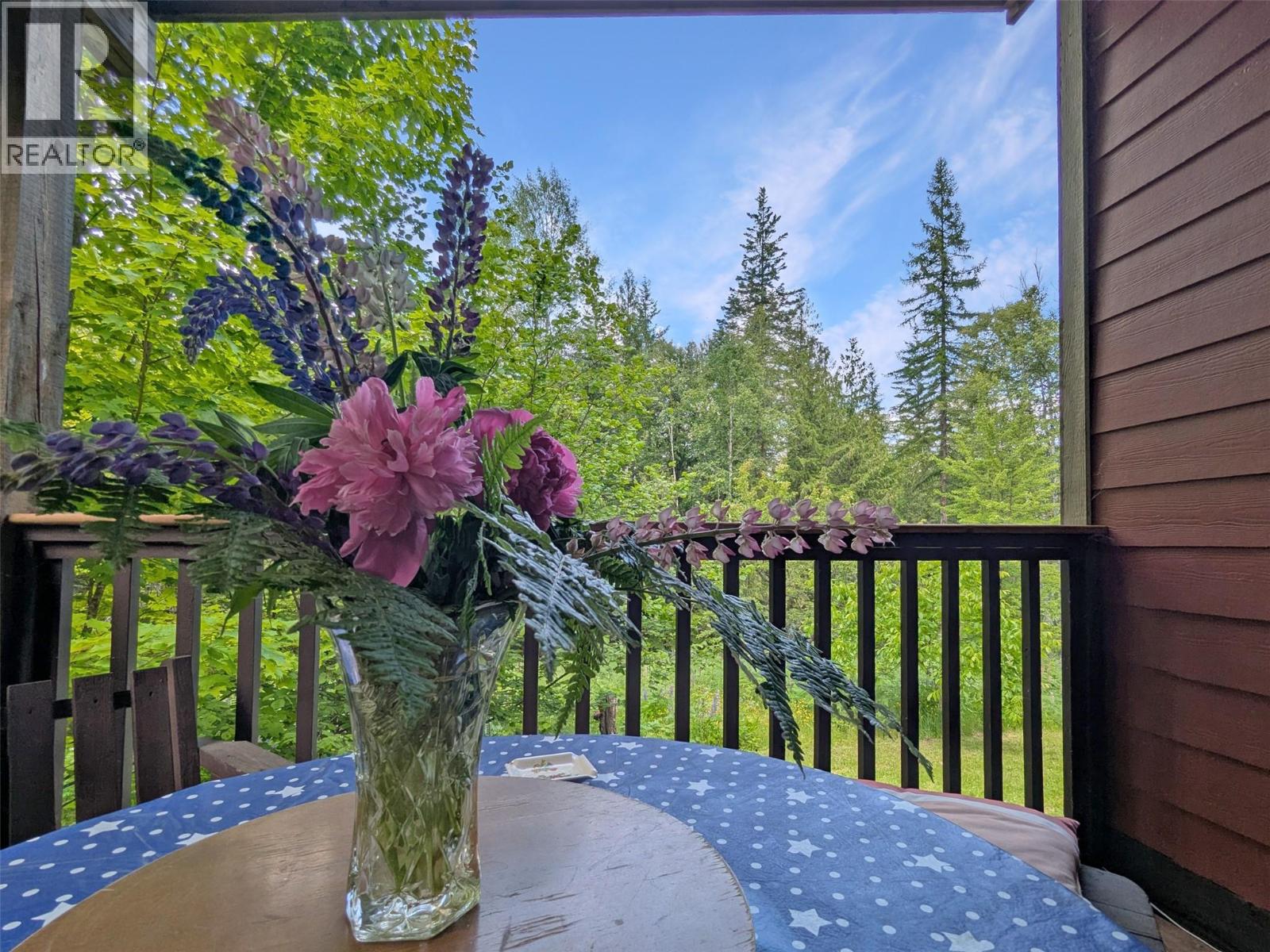 8802 Martens Road, Slocan
