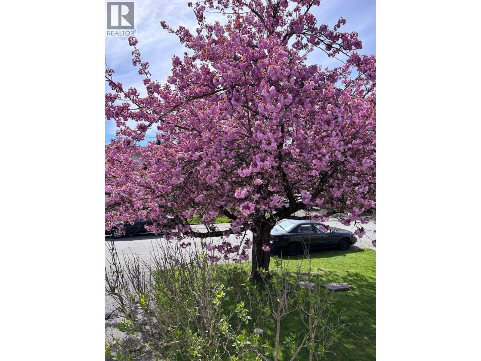 22475 STRENG Avenue - photo 2