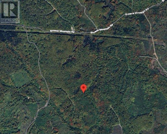 Property photo of 0 BROWNS MOUNTAIN ROAD, BROWNS MOUNTAIN