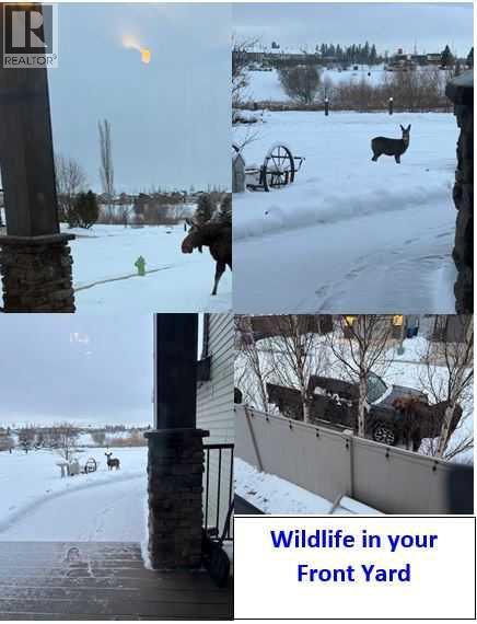 55 Carter Close, Red Deer