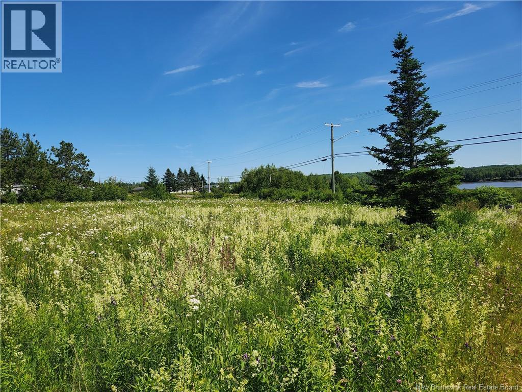 Lot 19-4 Route 535