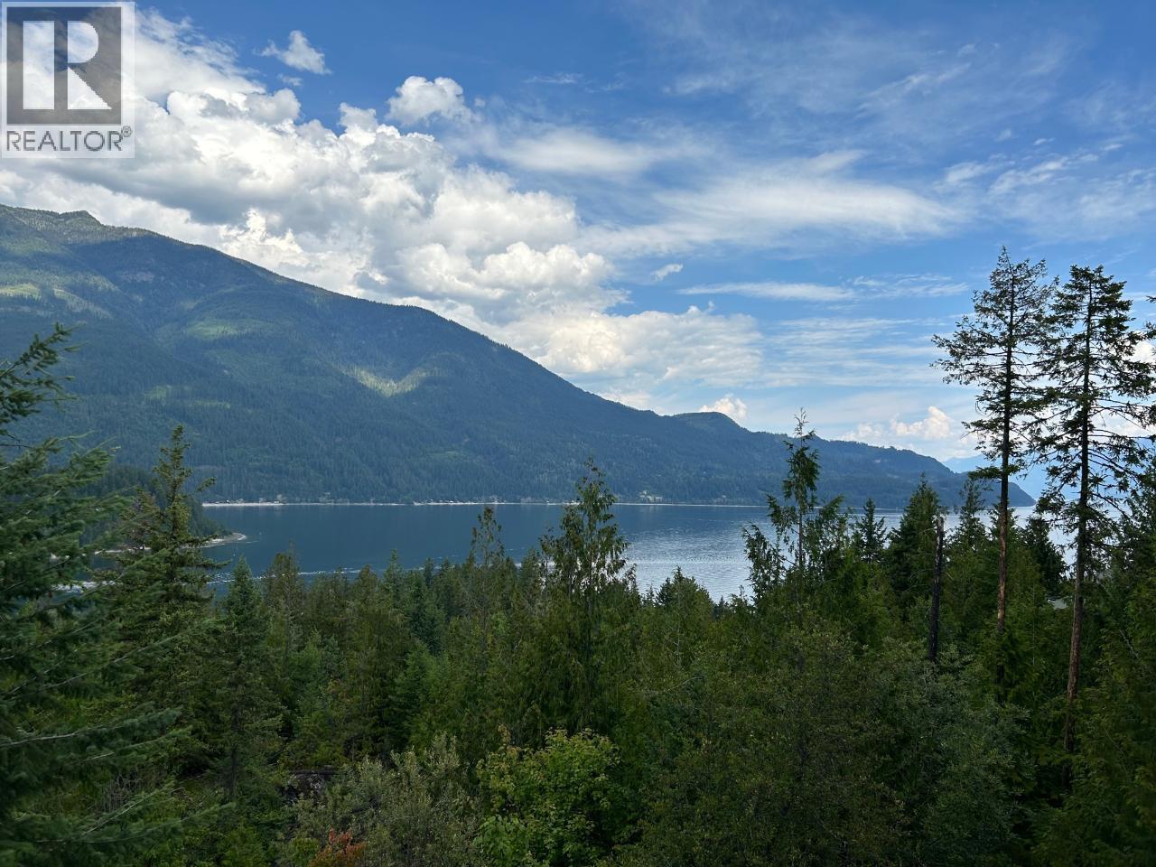 245 Rainbow Ridge Road - 44
