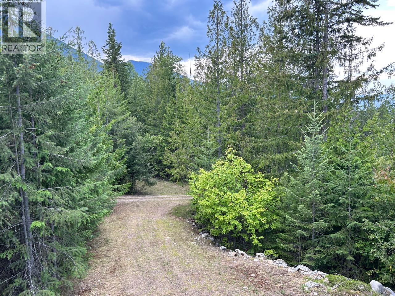 245 Rainbow Ridge Road - 41