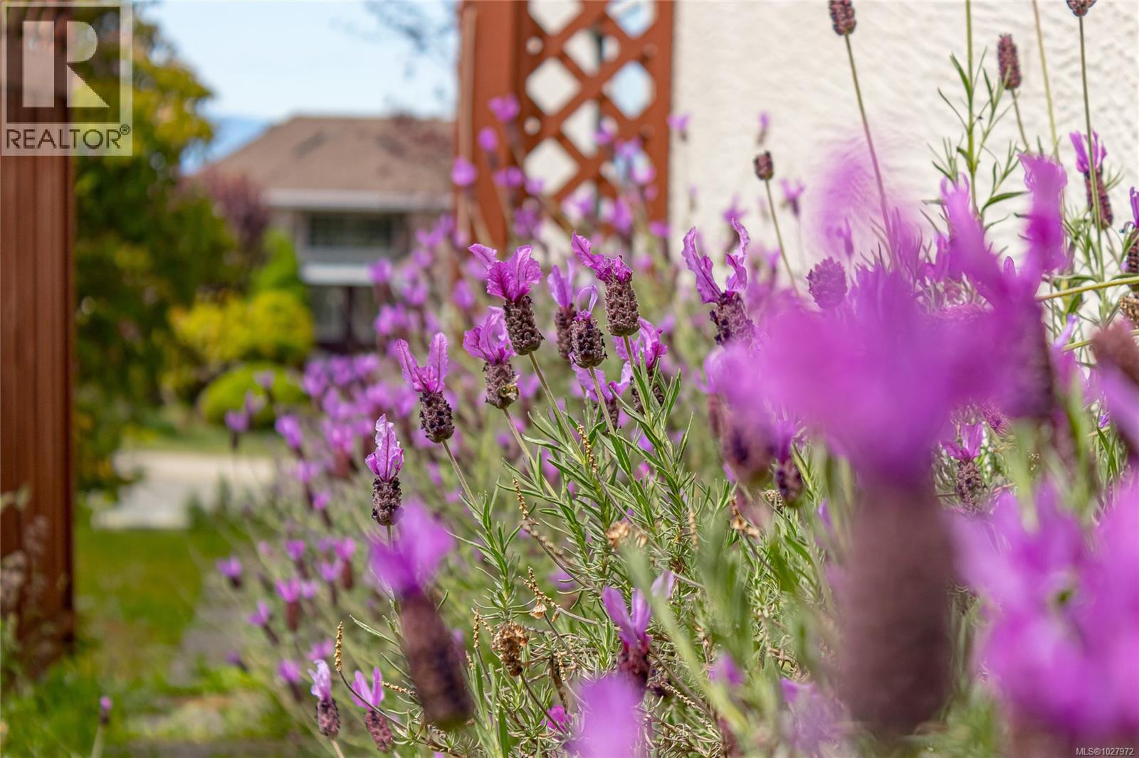 6573 PELICAN WAY - 56