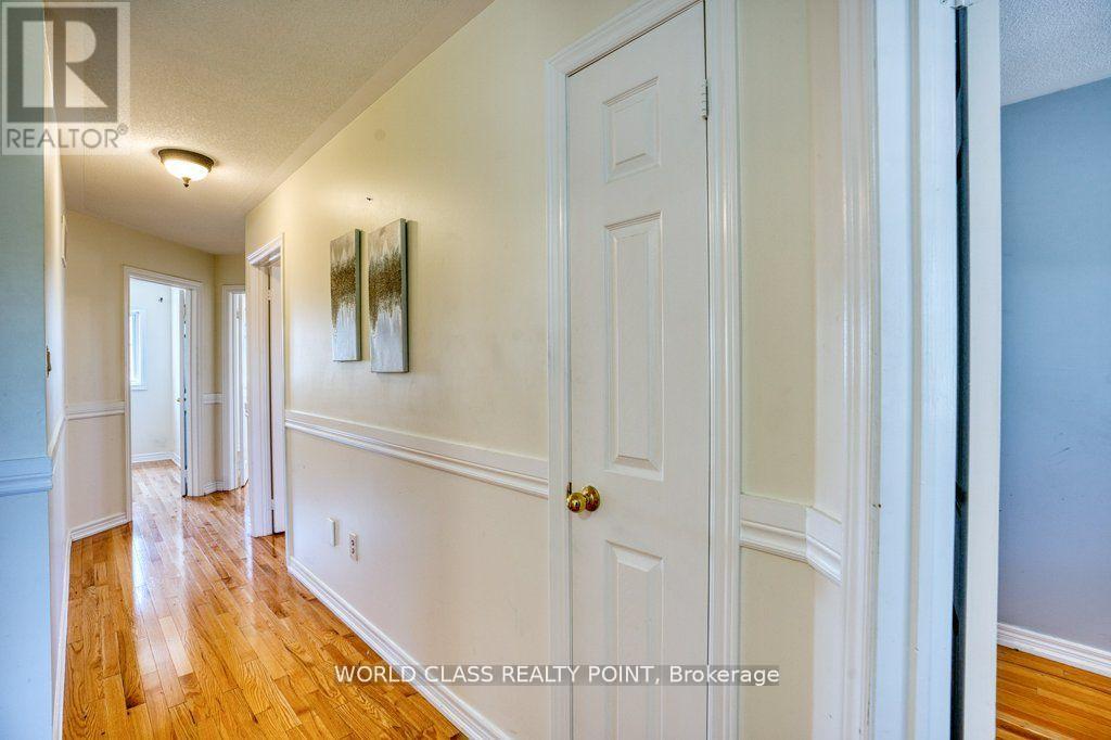 3 HESHAM DRIVE - 24