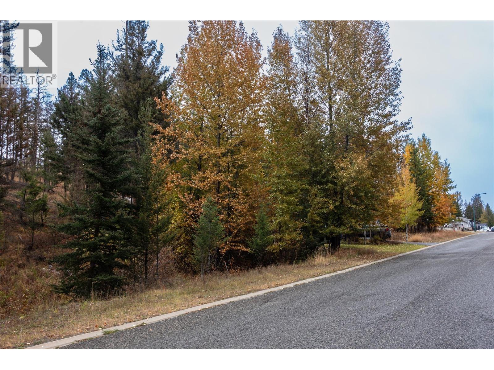 339 POPLAR DRIVE - 5