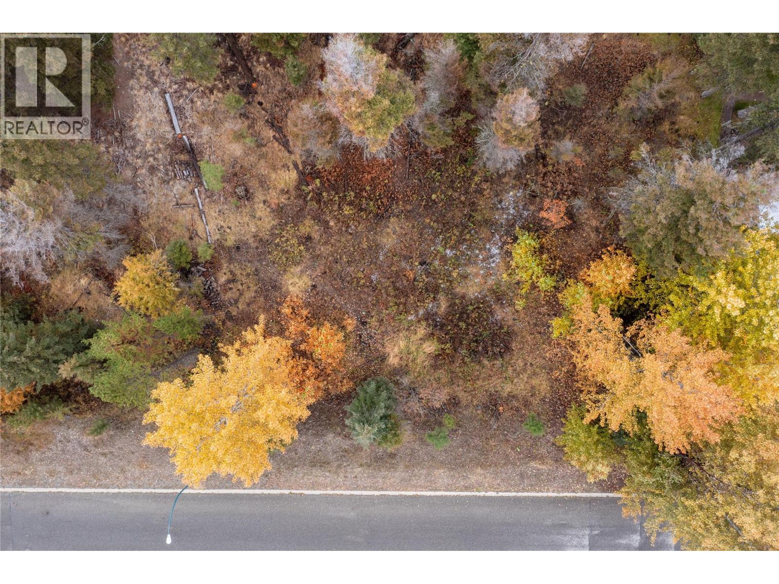 339 POPLAR DRIVE - 7