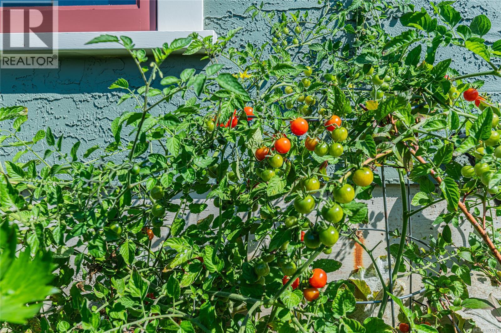  1160 Reynolds Road, Saanich