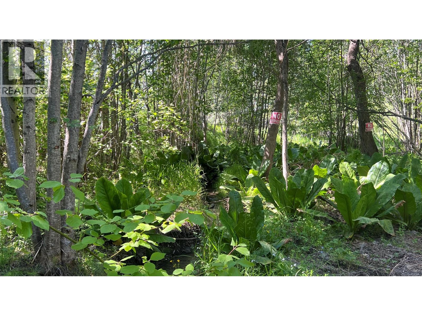 617 Payne Street, Creston