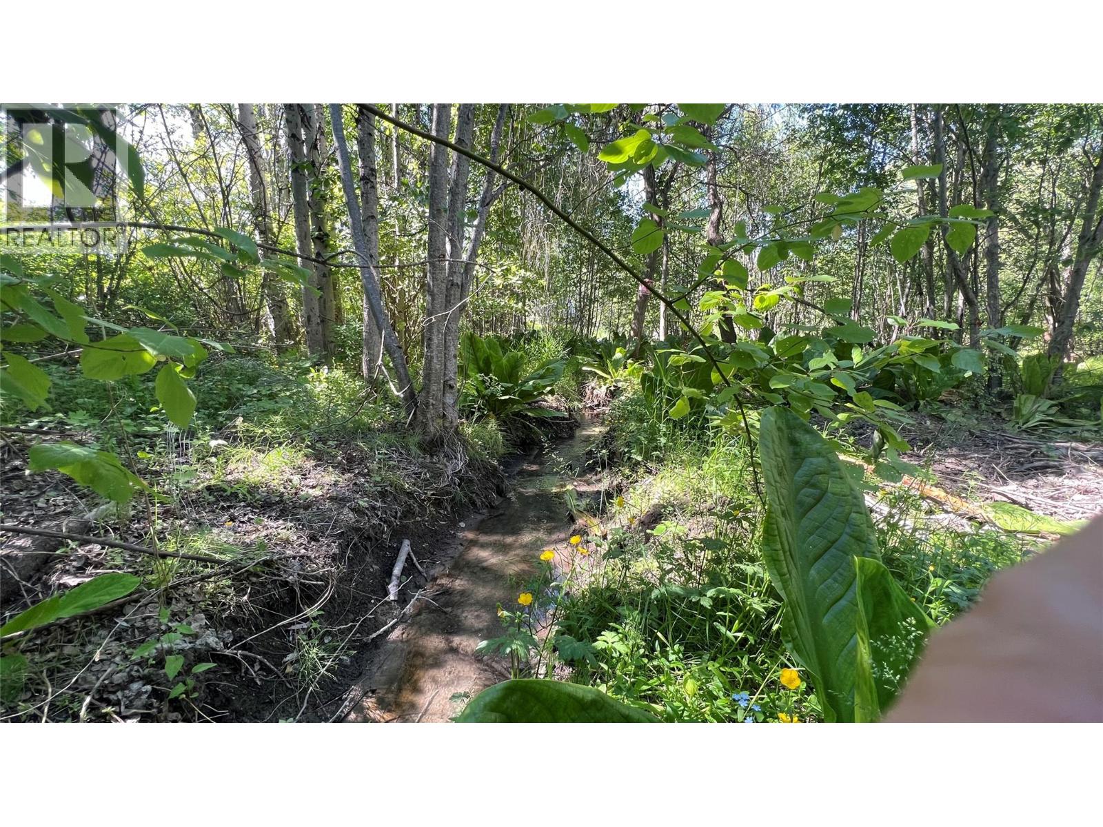 617 Payne Street, Creston