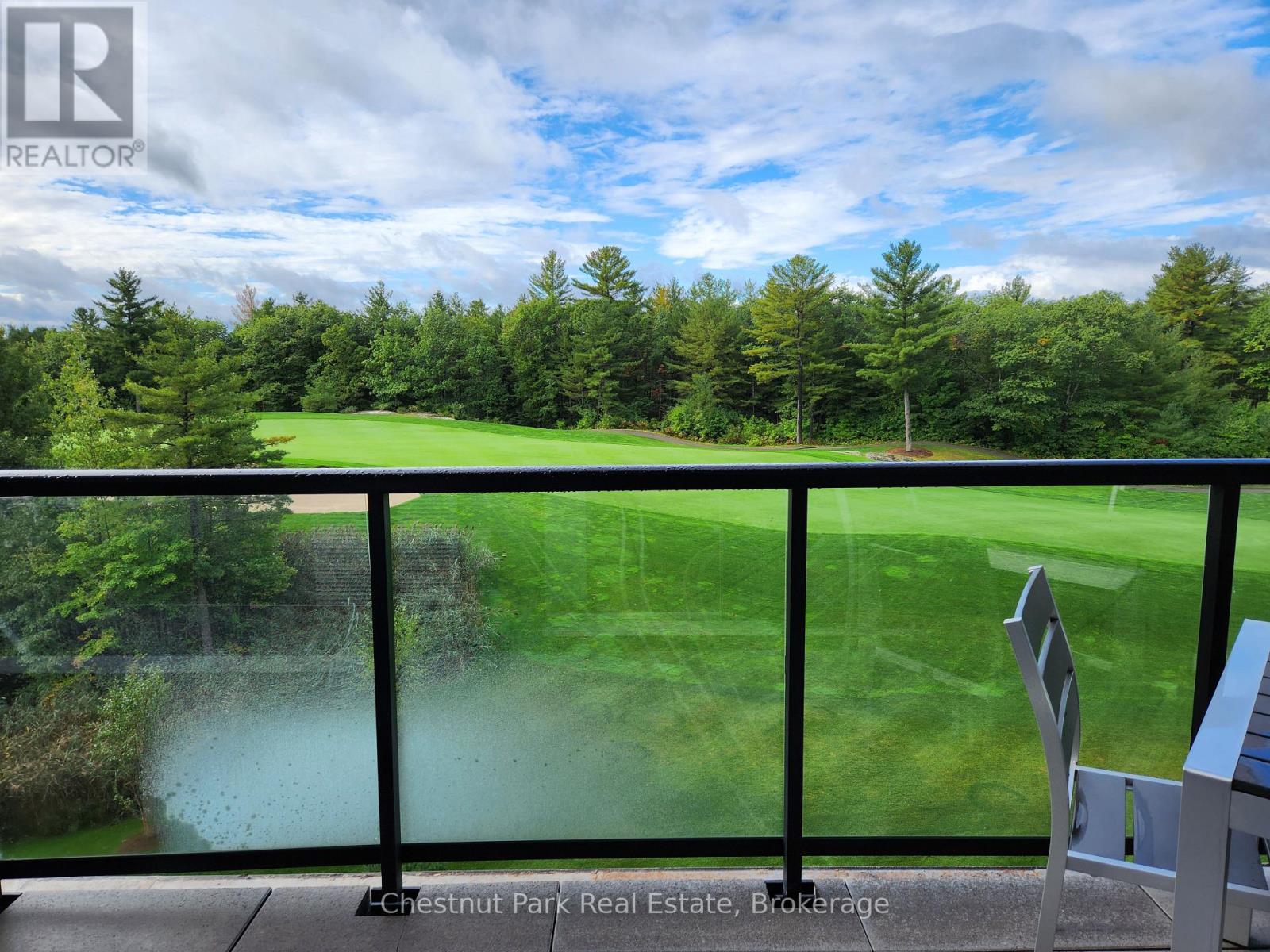 #410 120 CARRICK TRAIL - 19