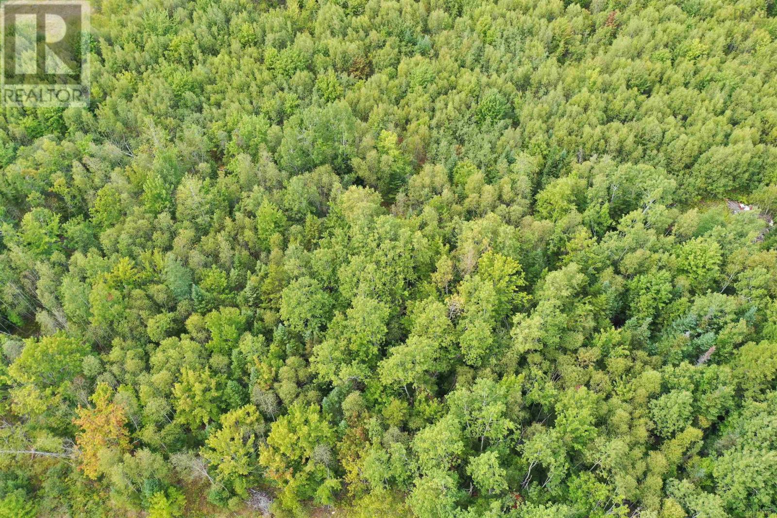 Property 16 of 20 of 19 Acres+- Wallace Road