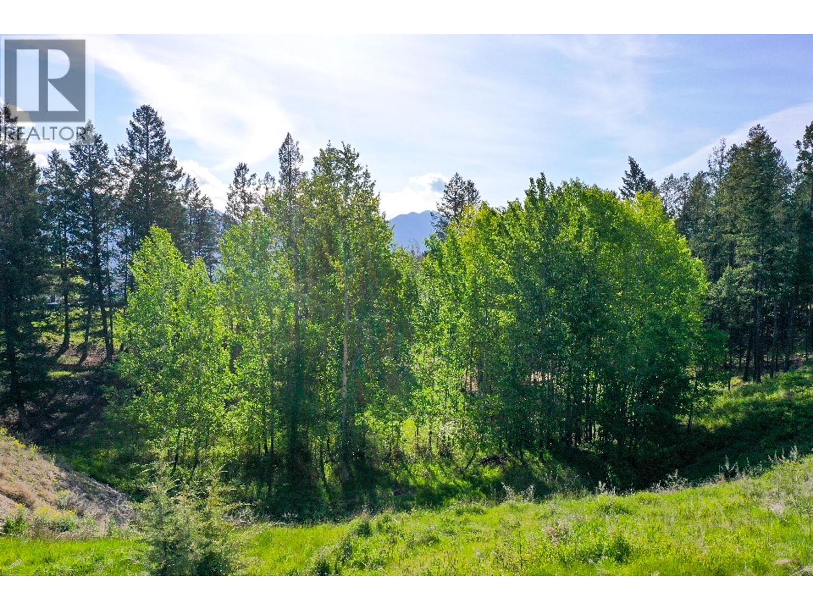 2161 PINETREE Place, Invermere