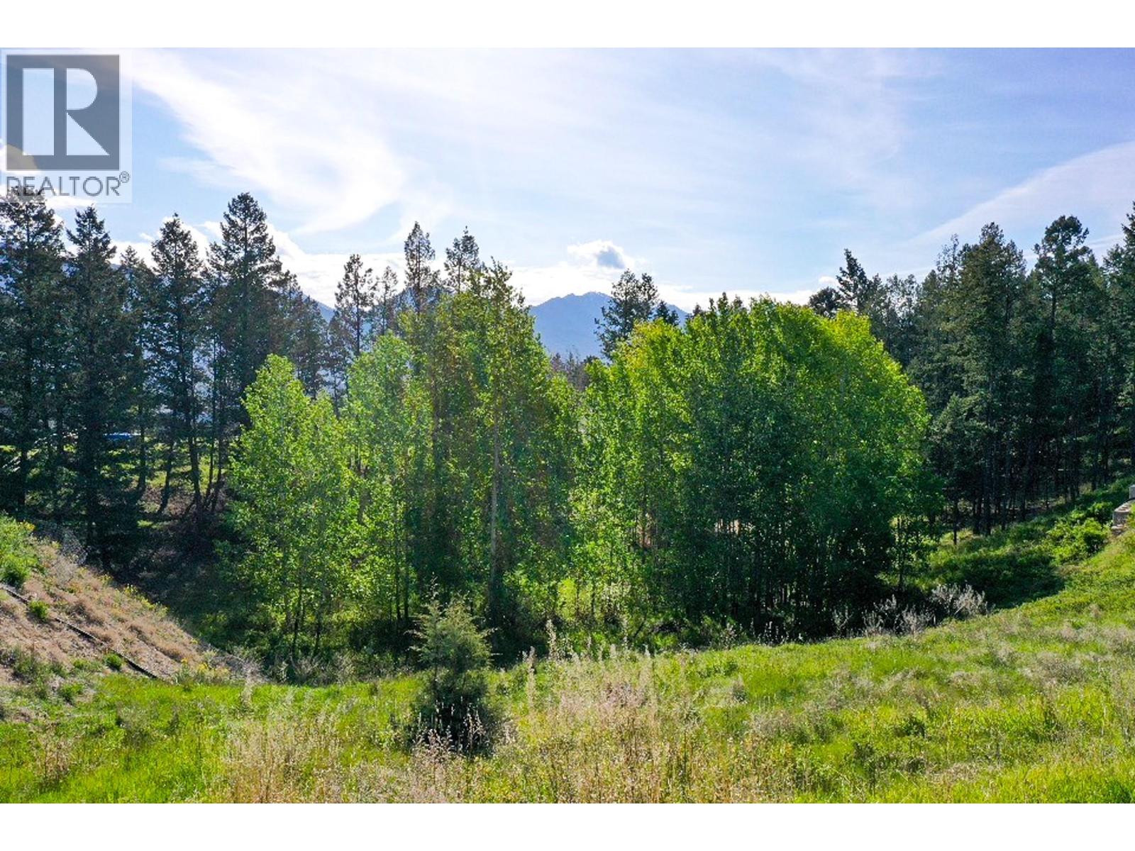 2161 PINETREE Place, Invermere