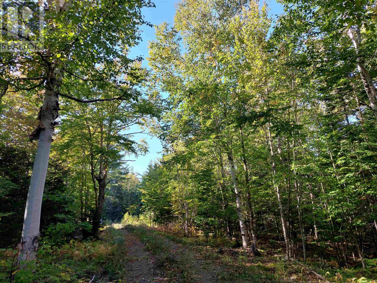 Property 7 of 22 of Lot 50 Redbird Dr.