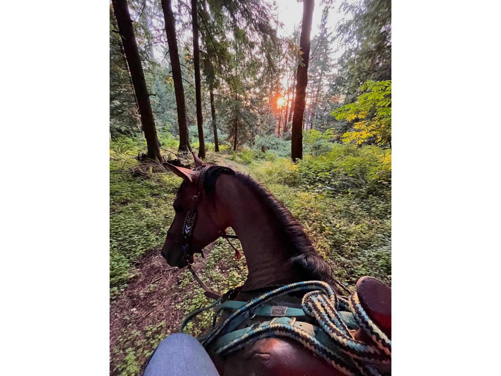 48522 ELK VIEW ROAD, Ryder Lake, Chilliwack