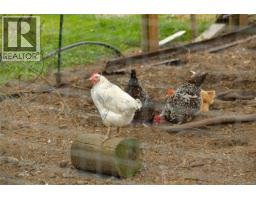 488 Mckercher Rd, Mayne Island, BC V0N2J2 Photo 88