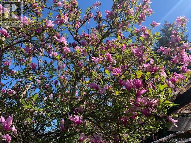 4766 HEADQUARTERS RD - 28