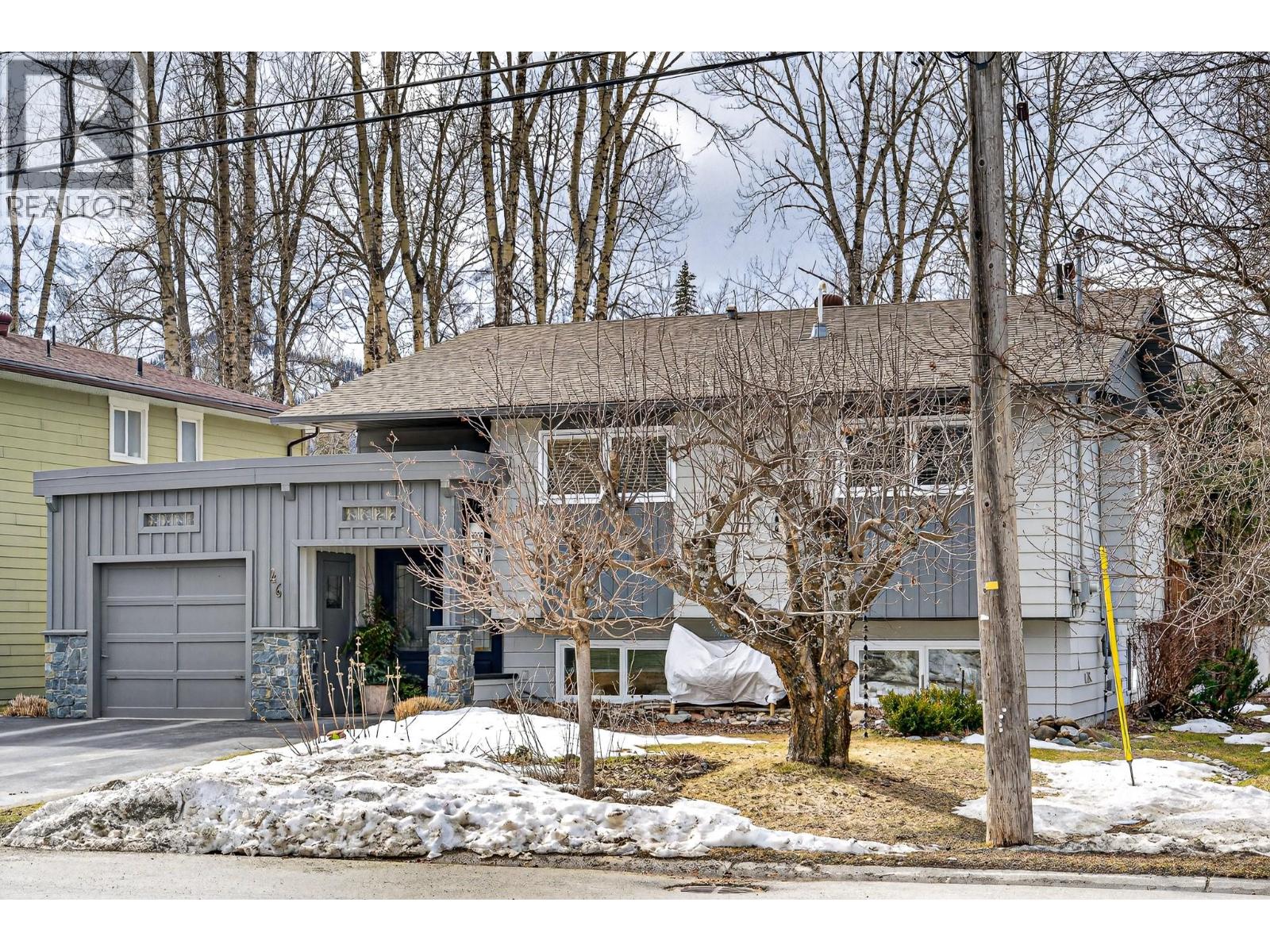 46 Mt Proctor Avenue, Fernie