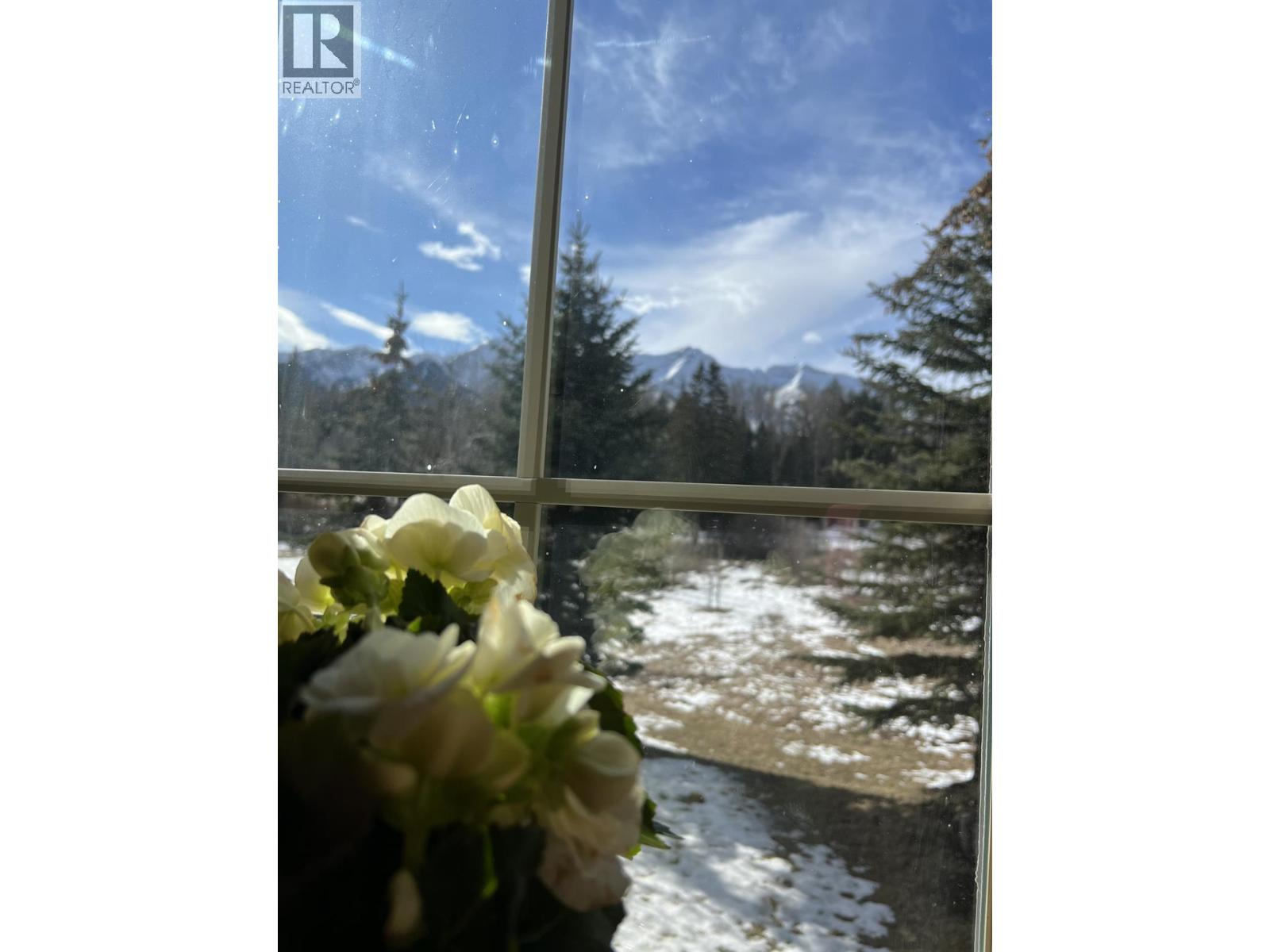 53 Rivermount Place Unit# 101, Fernie