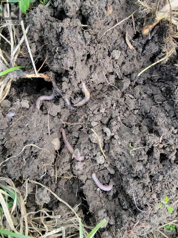 Hyw 24 - Photo 5 of 48, Rural Vulcan County, Alberta