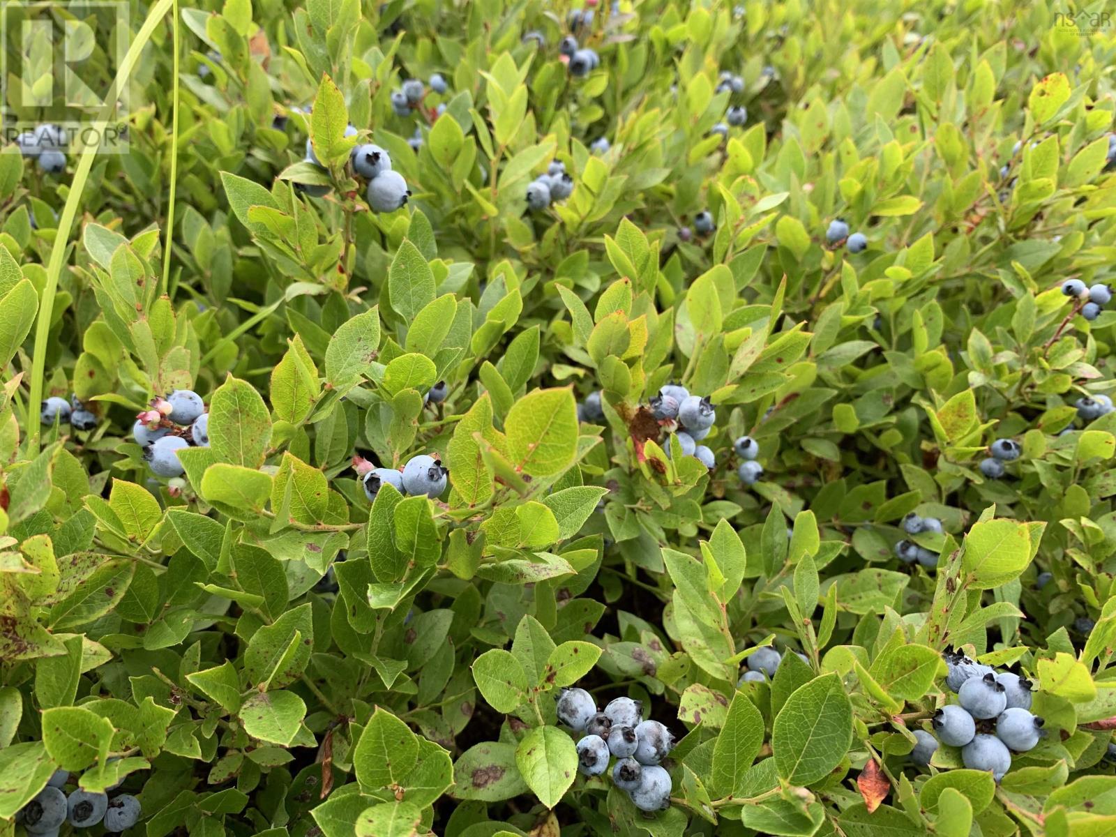 Property 10 of 15 of Lot Palmer Road, Wentworth Valley Preserve