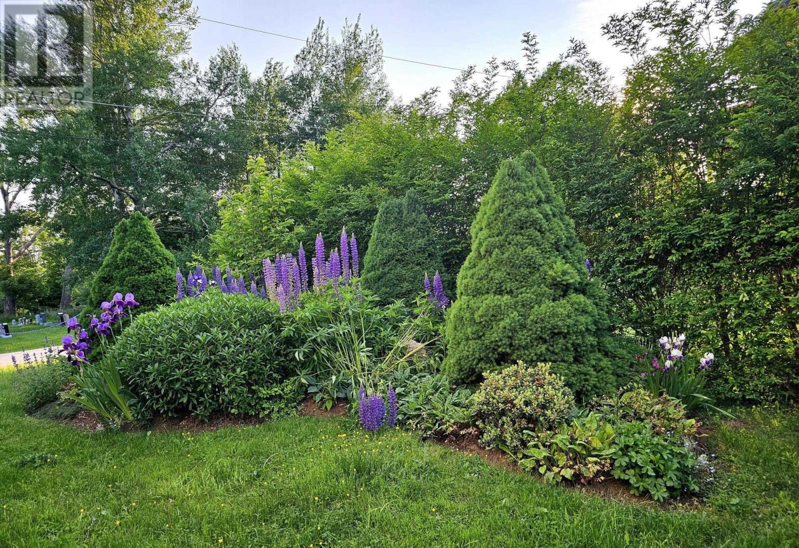 Property 10 of 45 of 24 Chapel Street