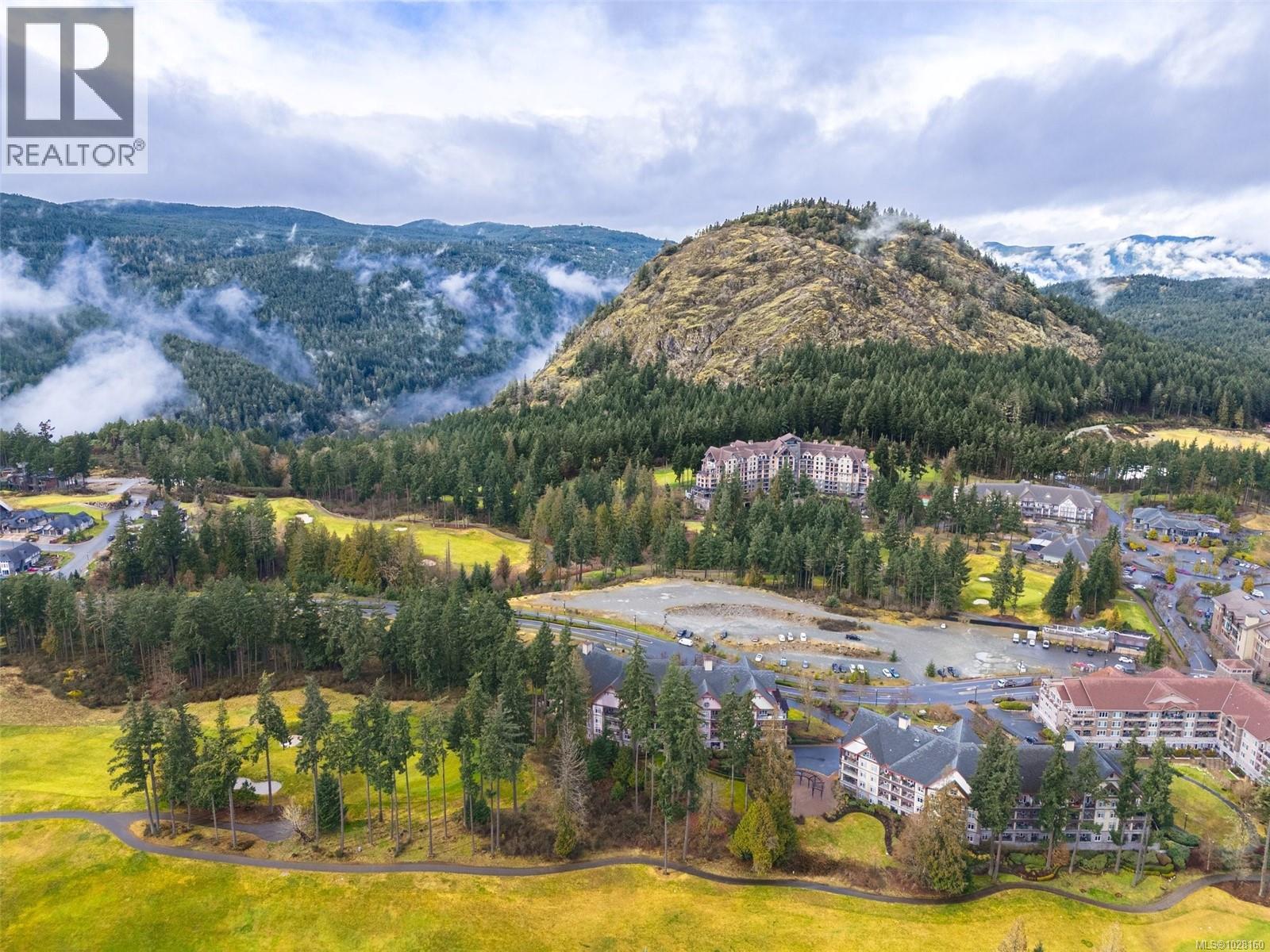 #419 1395 BEAR MOUNTAIN PKWY - 23