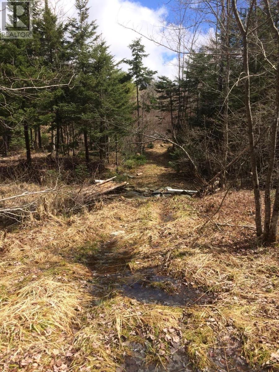 Property 19 of 21 of 409 Highway 224