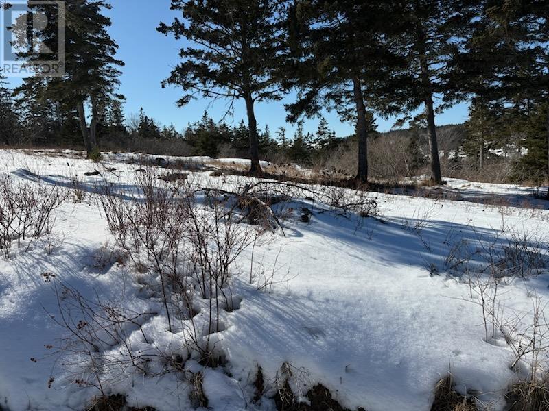 Property photo of Hirtles Beach Road