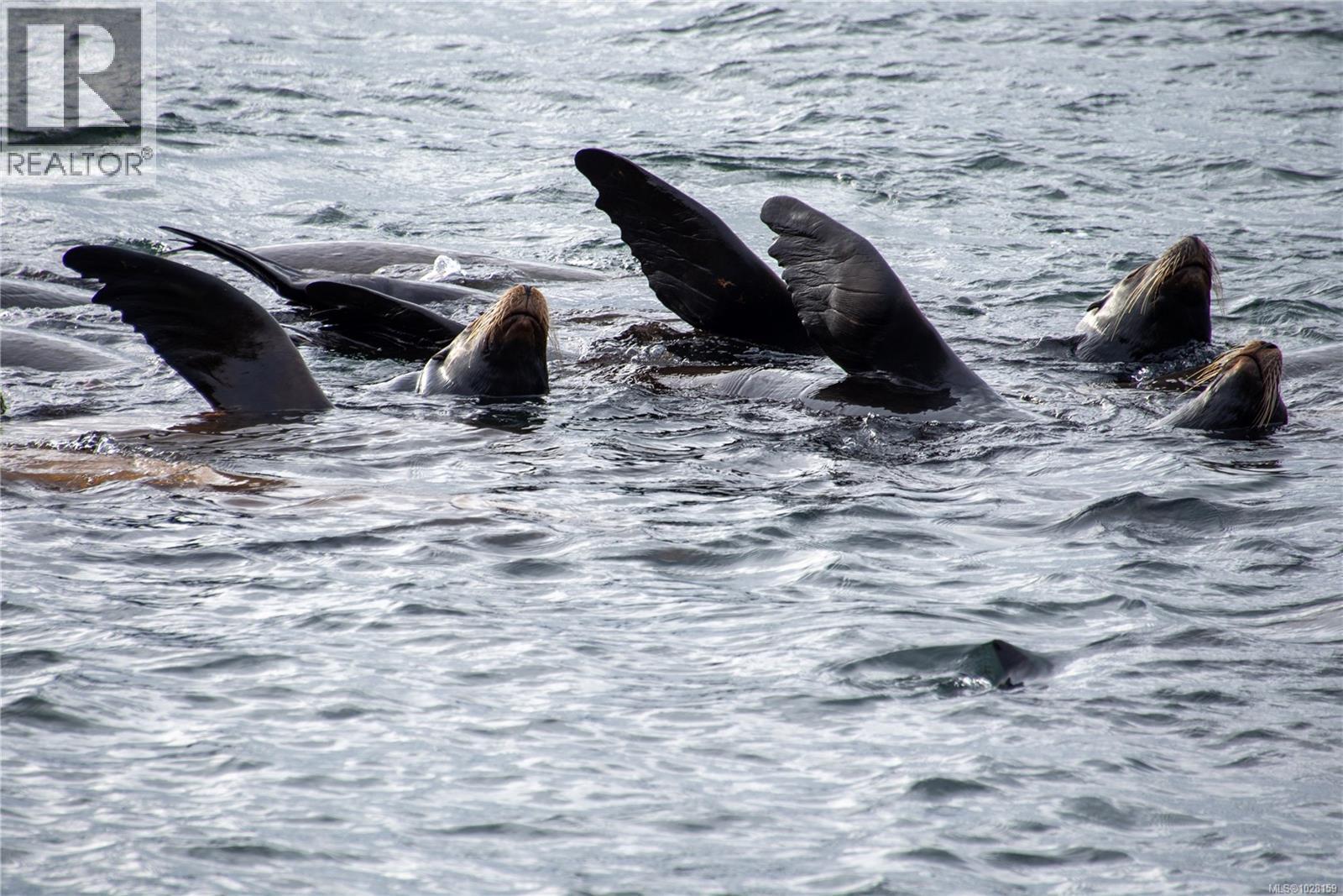  225 Sea Meadow Drive, Gabriola Island