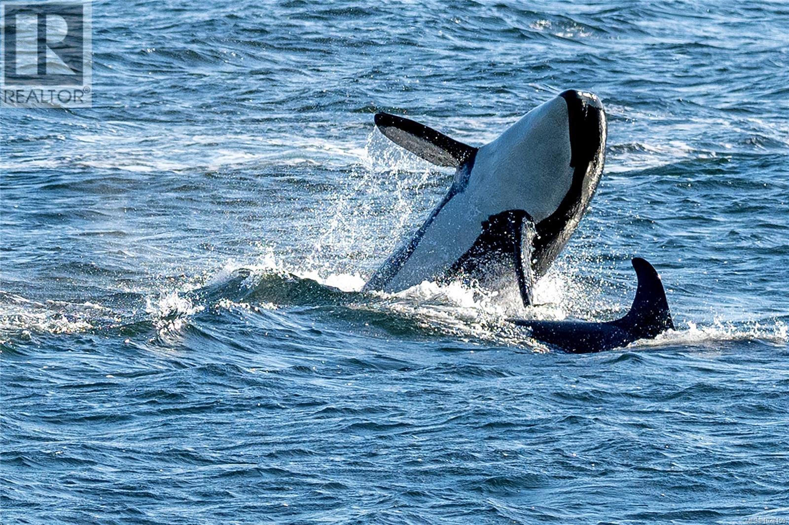  225 Sea Meadow Drive, Gabriola Island