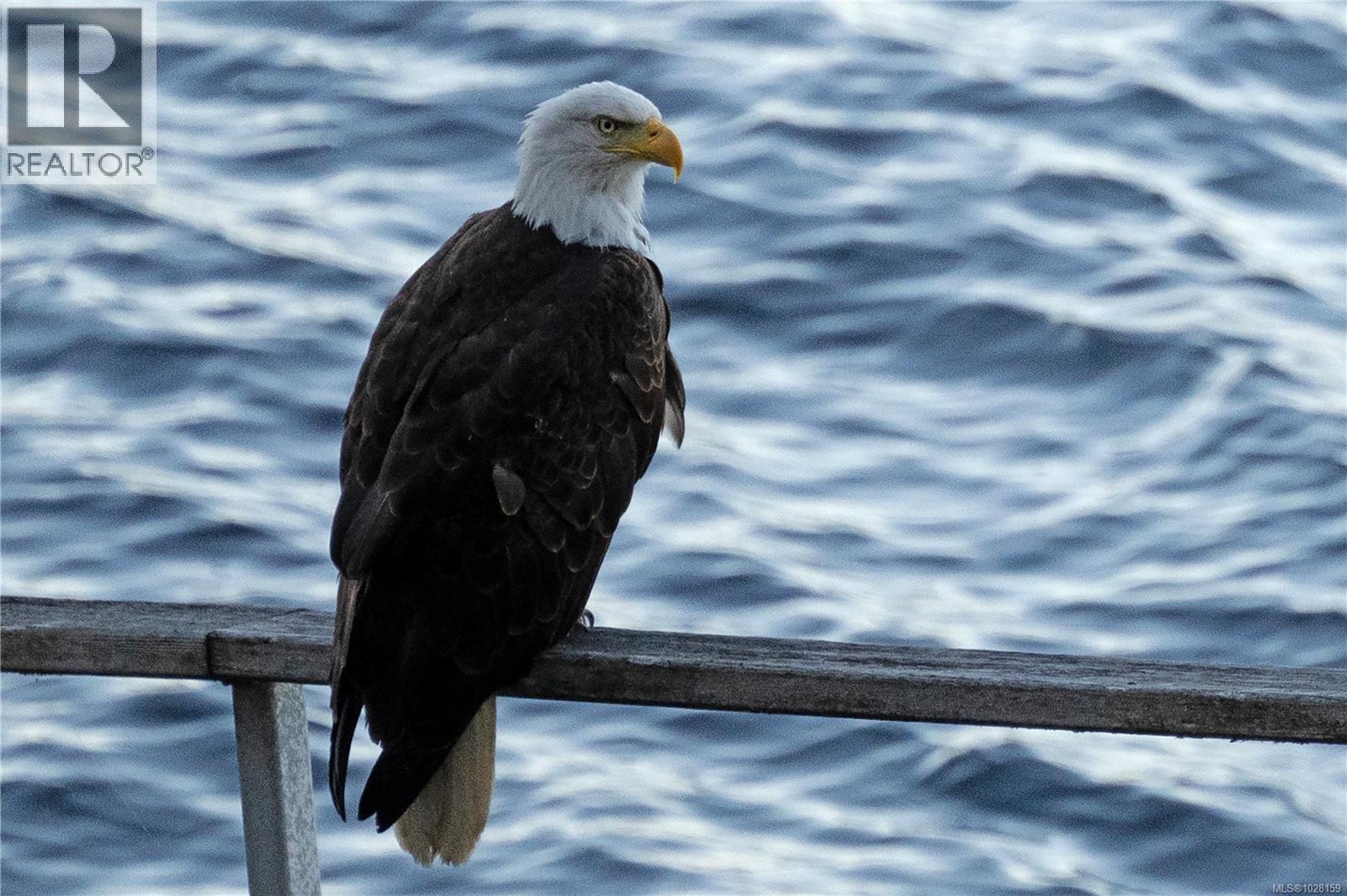  225 Sea Meadow Drive, Gabriola Island