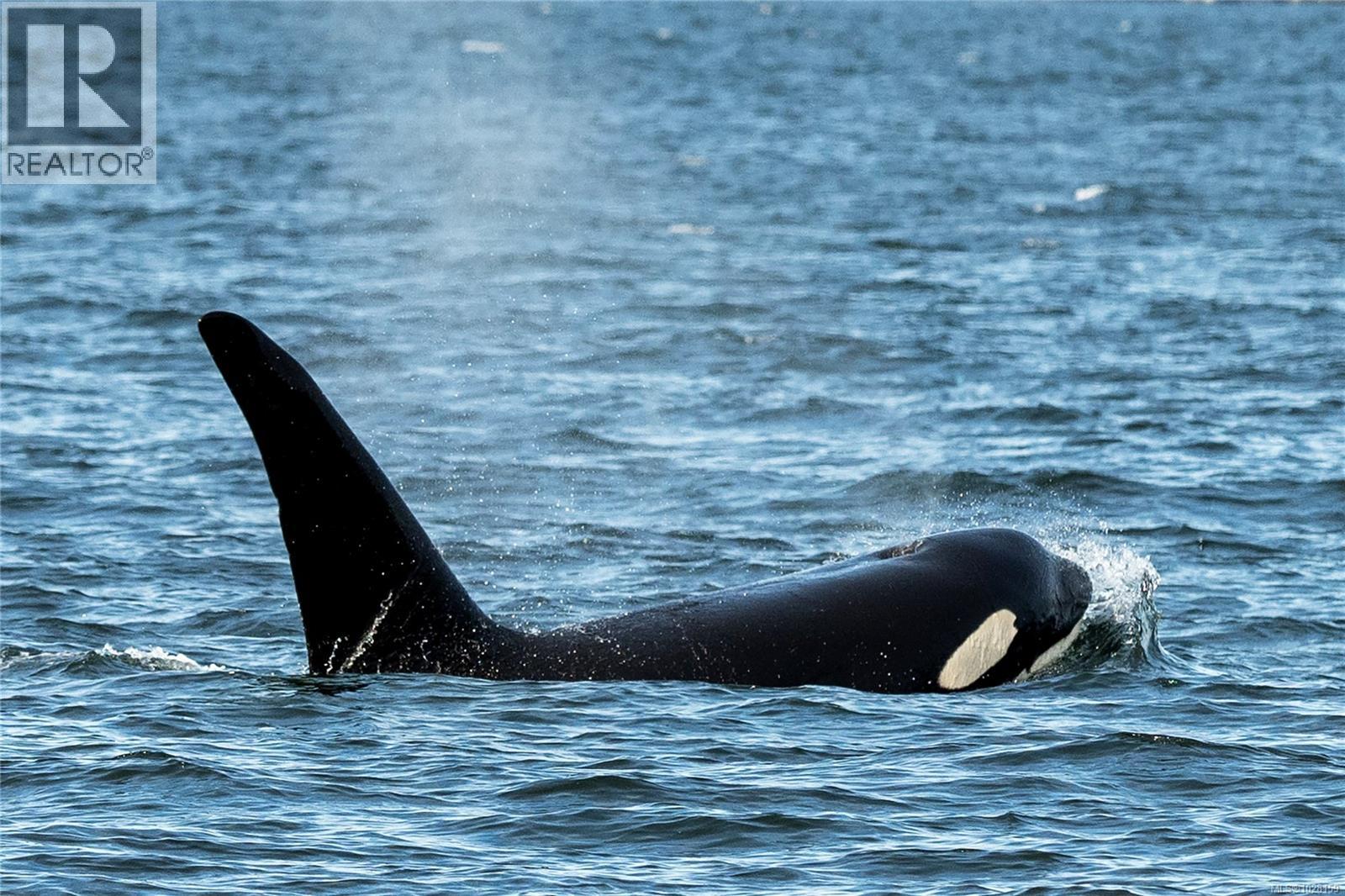  225 Sea Meadow Drive, Gabriola Island