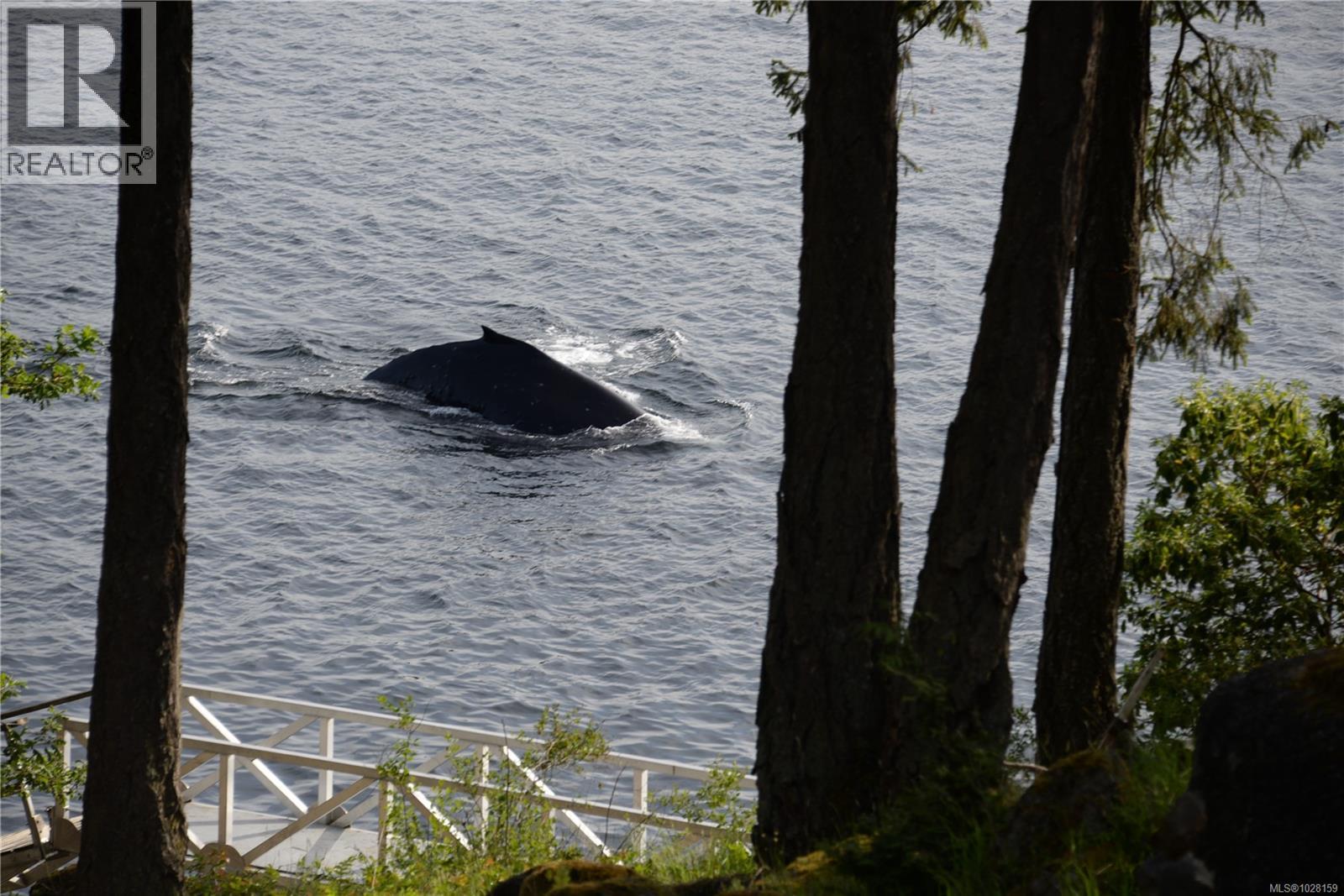  225 Sea Meadow Drive, Gabriola Island