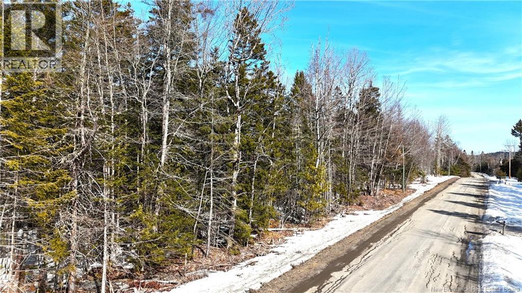 000 Harkness Road, Saint Andrews — photo 2