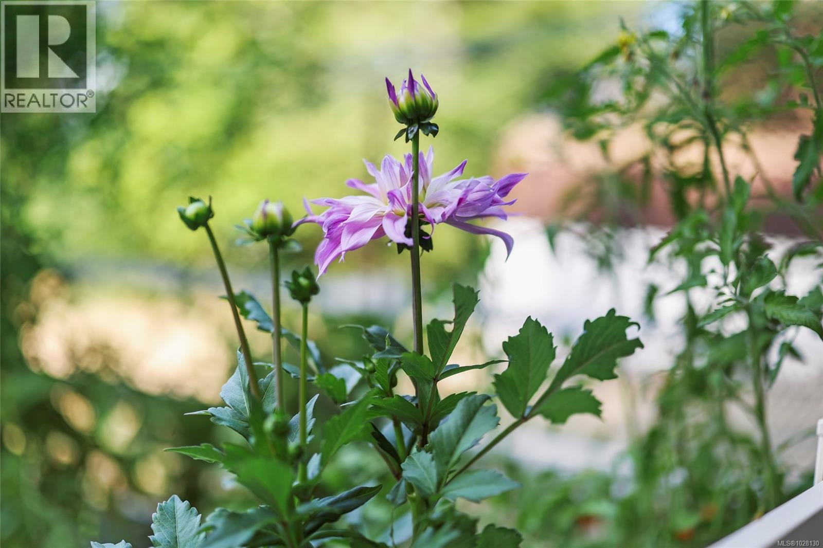 6235 Karen Pl, Port Alberni