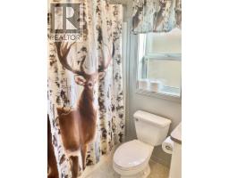 684 Government Avenue N, Greenwood, BC V0H1J0 Photo 35